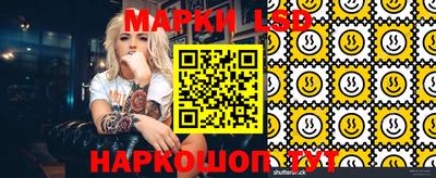Альфа ПВП Малгобек