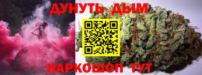 Альфа ПВП Малгобек